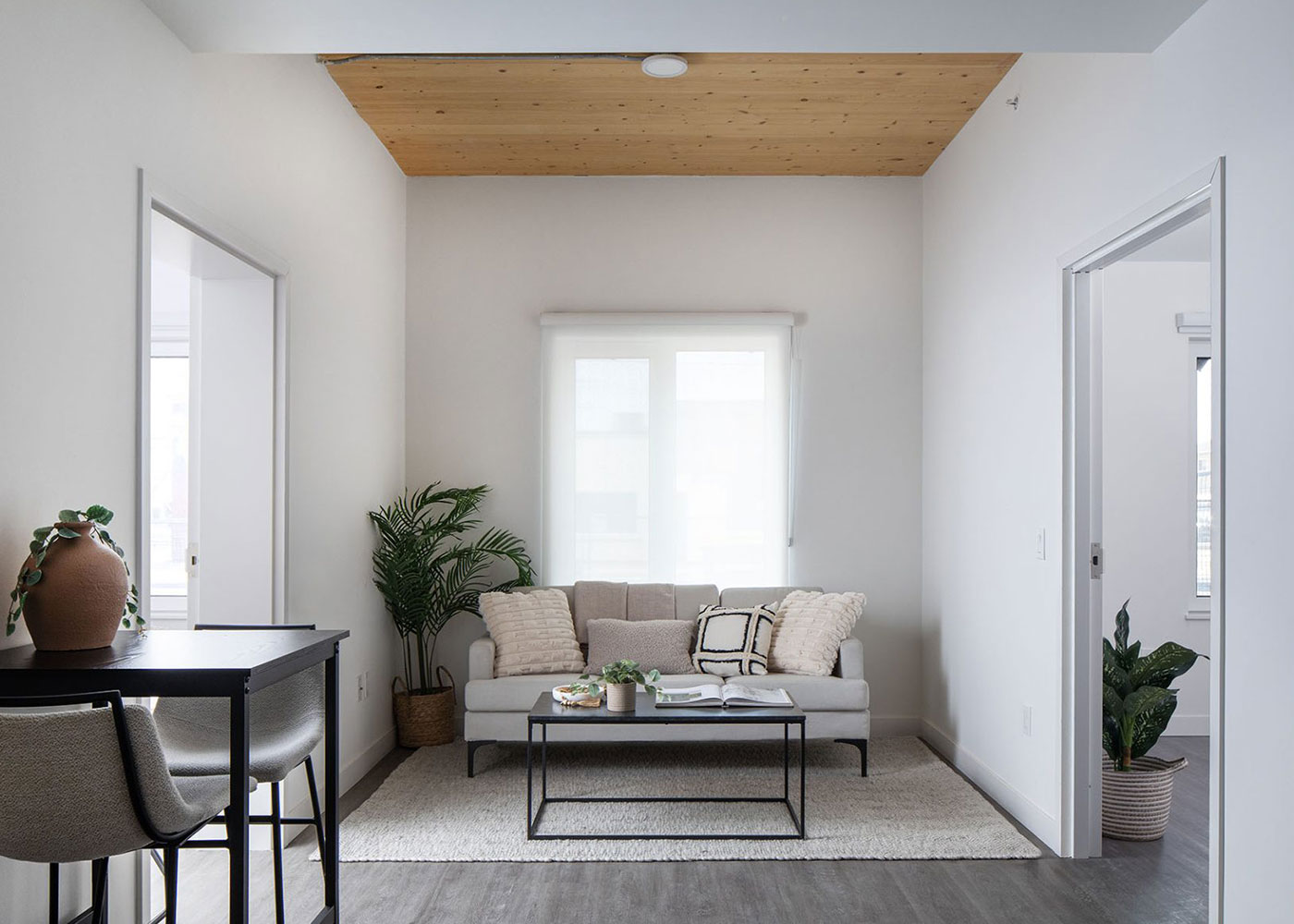 Suite living space with an exposed timber ceiling